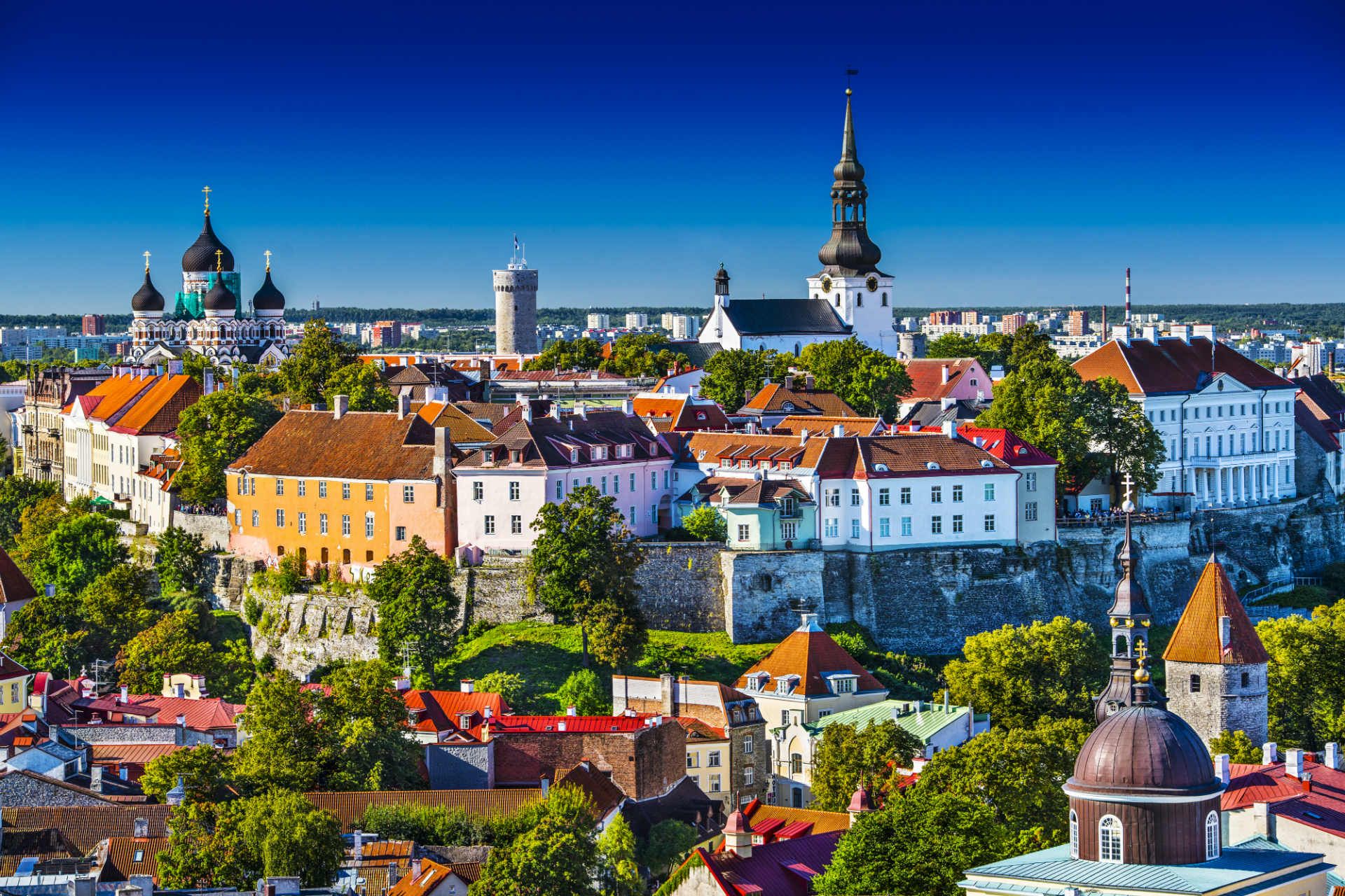 Estoniyada uzunmüddətli ESC könllük layihələri!